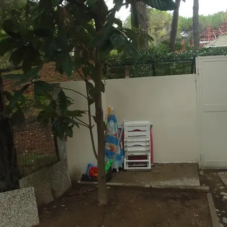 Trifoglio