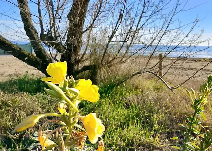 Trifoglio Apartamento *