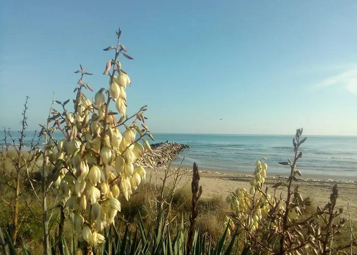 Trifoglio Apartamento Lido di Jesolo