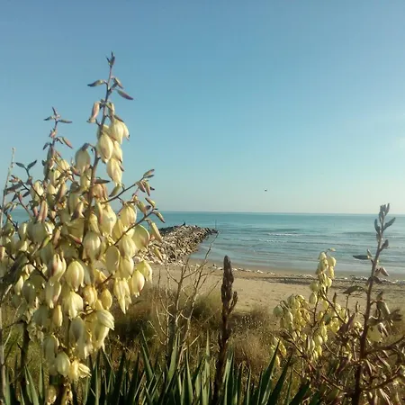Trifoglio Apartment Lido di Jesolo