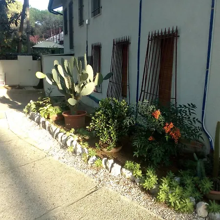 Trifoglio Lido di Jesolo