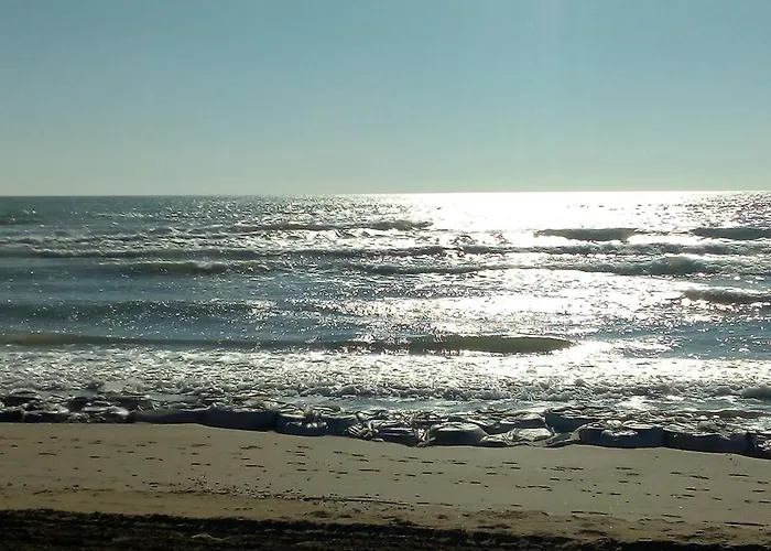 Trifoglio Lido di Jesolo