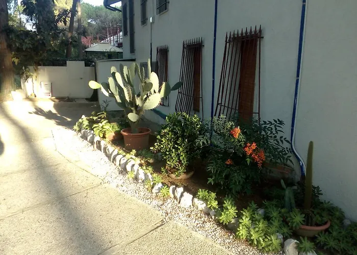 Trifoglio Lido di Jesolo