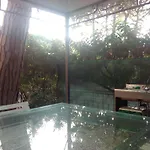 Trifoglio